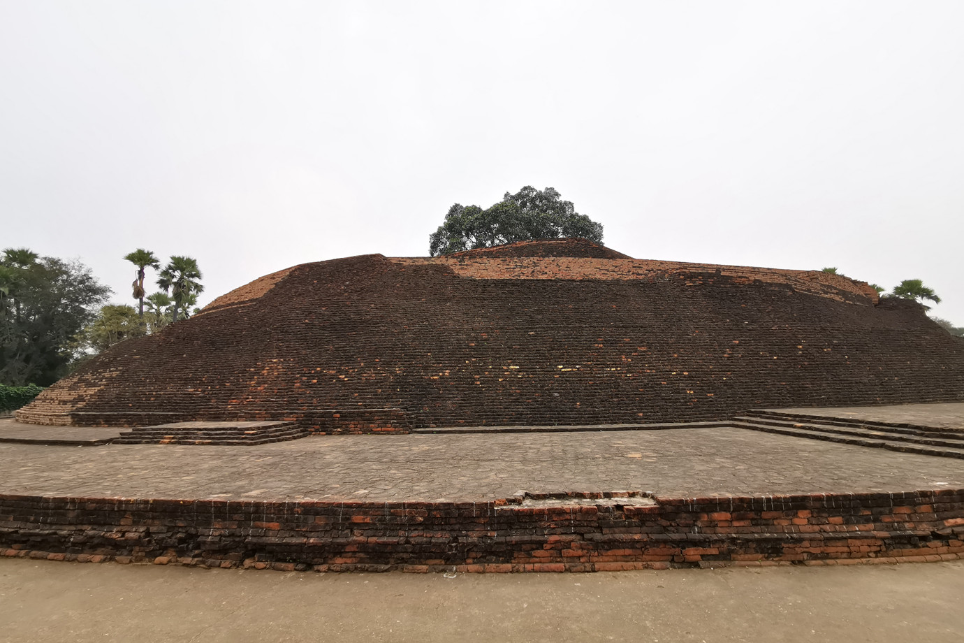 菩提迦耶-牧羊女蘇嘉塔大塔  Sujata Temple